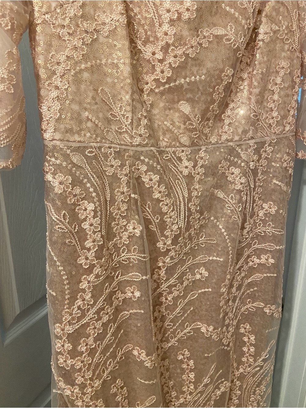 Adrianna Papell Champagne Lace Embroidered Sheath Dress